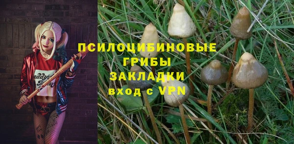 мдма Бородино