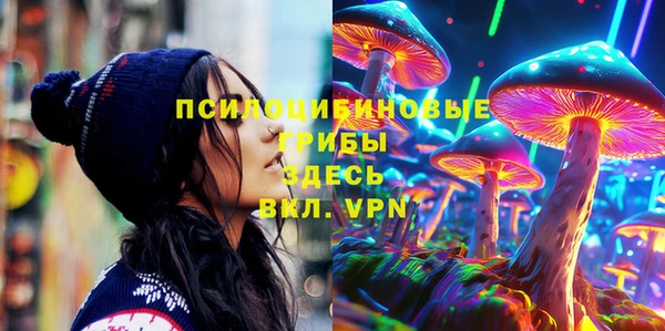 мдма Бородино