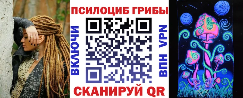 Псилоцибиновые грибы Psilocybe  Купить закладки  Партизанск 